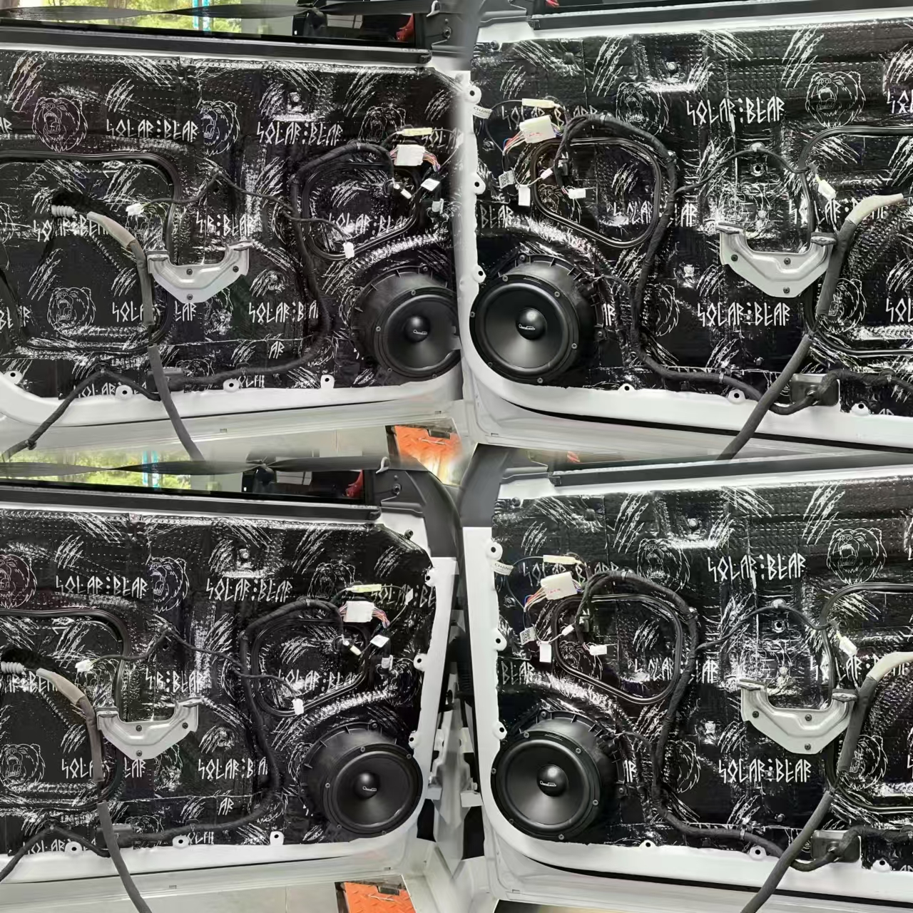 1730078805760626.jpg 四门北冰熊.jpg